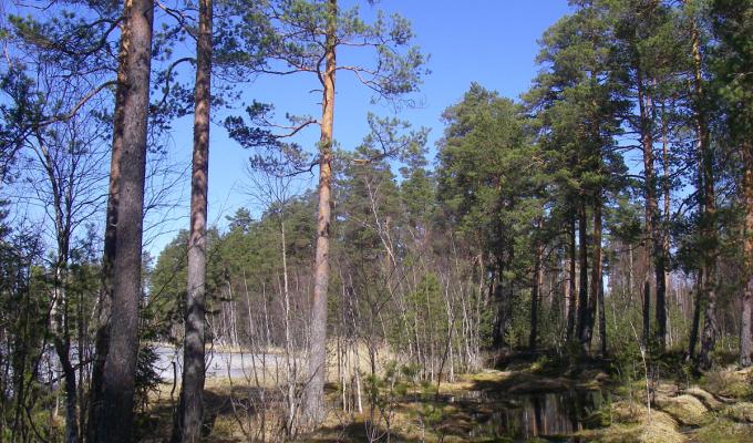 На Луганщині реалізується регіональна природоохоронна програма