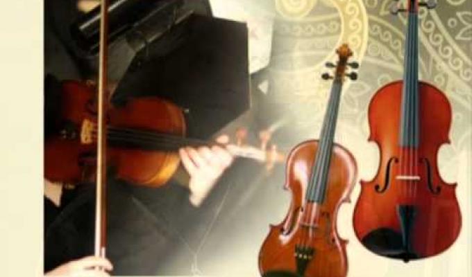 Для шкіл естетичного виховання області в рамках обласної програми «Мистецька освіта Луганщини» на 2016-2018 роки будуть придбані музичні інструменти