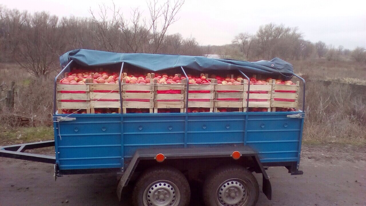 «Фантом» затримав автомобілі, які незаконно намагалися переправити на окуповану територію понад 2 тонн продуктів 