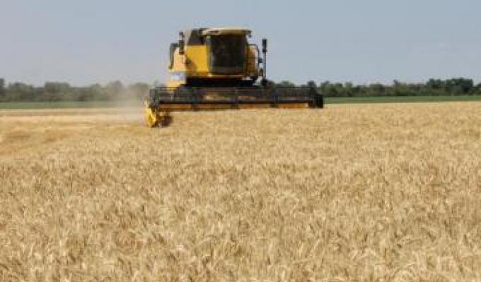Жнива – 2018: аграрії Білокуракинщини зібрали 65,8 тис. тонн ранніх зернових культур