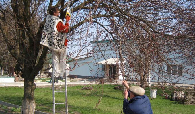 В обласних  установах проведено всеукраїнську акцію з благоустрою «За чисте довкілля»