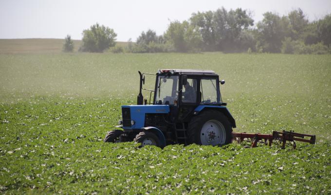 Кабмін у 2021 році передбачив підтримку аграріїв на 4,5 млрд грн