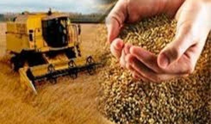 у Сватівському районі утворено управління агропромислового розвитку