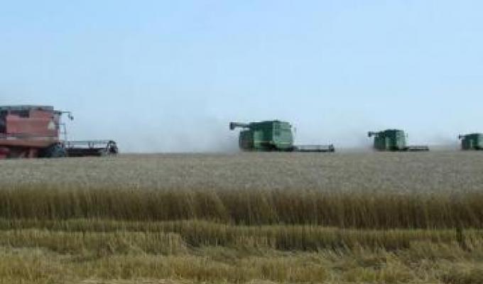 На Луганщині розпочалися жнива