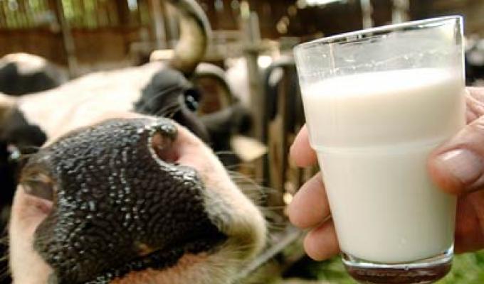 Цьогоріч власникам селянських господарств виплачена компенсація більше 600 тисяч гривень