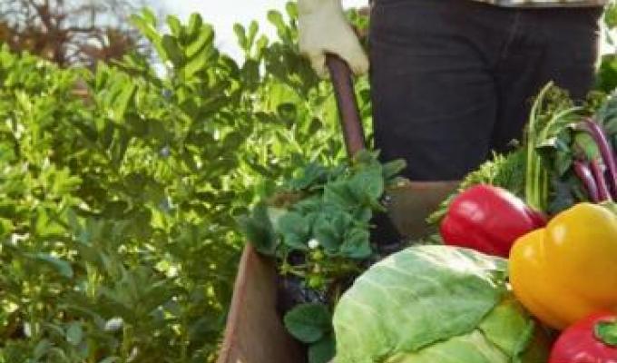 Підтримка аграрного і сільського розвитку Луганщини