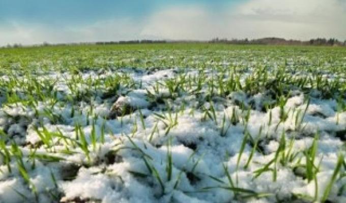 Луганська область посіла перше місце за індексом обсягу сільськогосподарського виробництва