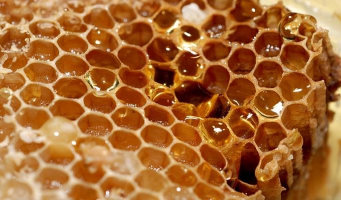 ГО «Асоціація бджолярів «Медова артіль» звернулася зі своїми проблемами до Юрія Гарбуза