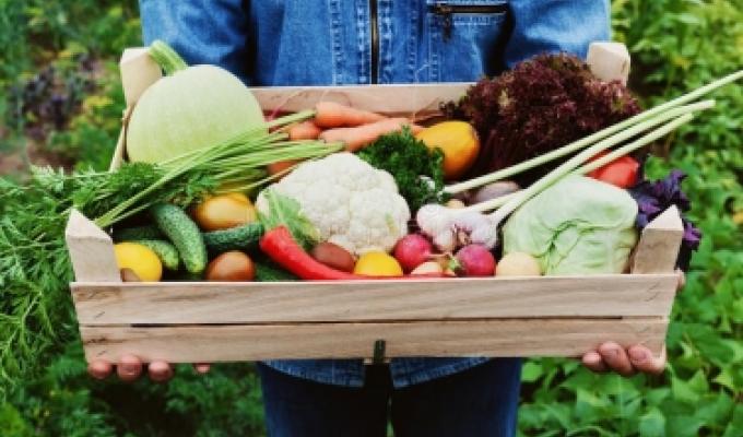 Для сімейних фермерських господарств спрощено оподаткування