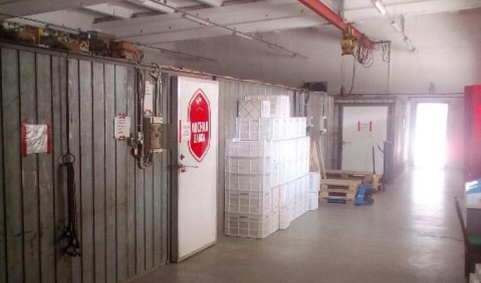 У Лисичанську виявлено м’ясну базу, що працювала з численними порушеннями 