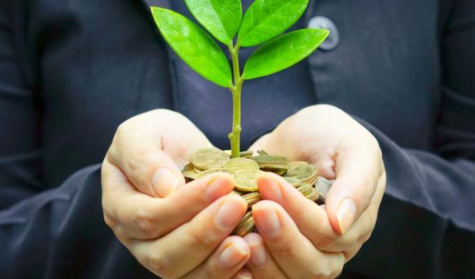 На відновлення навколишнього середовища Луганщини сплачено майже 17 мільйонів гривень екоподатку