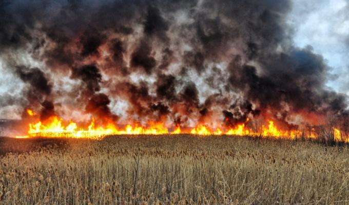 Триває збір позовів аграріїв на компенсацію збитків внаслідок агресії рф