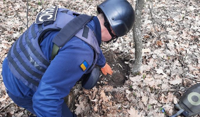Піротехніками на Луганщині виявлено та вилучено 29 артилерійських снарядів