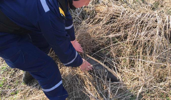 Піротехніками на Луганщині вилучено 223 одиниці вибухонебезпечних предметів 