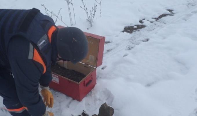 На Луганщині вилучено вісім одиниць вибухонебезпечних предметів