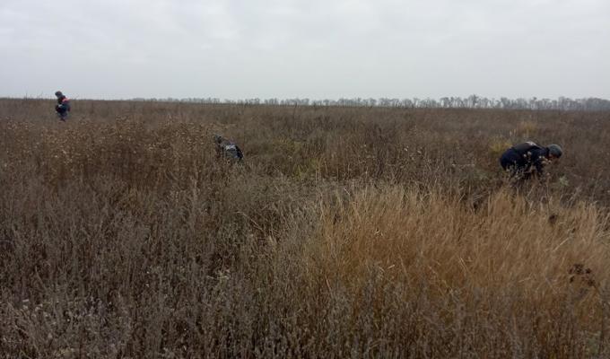 Піротехніками на Луганщині виявлено та вилучено 56 одиниць вибухонебезпечних предметів 