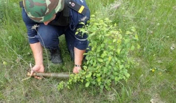 Піротехніками на Луганщині вилучено 29 одиниць вибухонебезпечних предметів