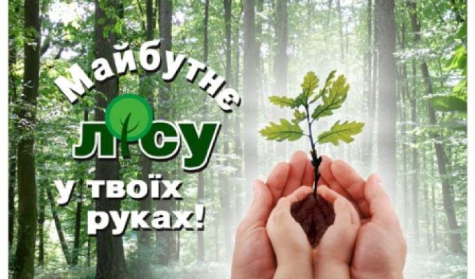  Луганщина долучилася до Всеукраїнської акції «Майбутнє лісу у твоїх руках»
