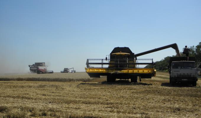 У Новопсковському районі вже зібрали понад 85 тис. тонн зерна