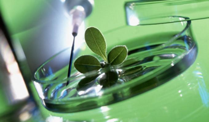 Троє сєвєродончан – призери Всеукраїнської олімпіади з біології