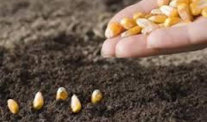 Проведення комплексу весняно-польових робіт