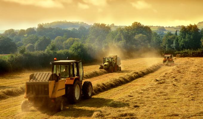 Аграрії області вже зібрали 528 тисяч тонн ранніх зернових культур