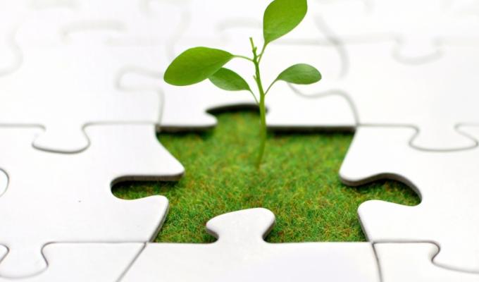 Як вирішувати соціальні проблеми бізнес-методами?