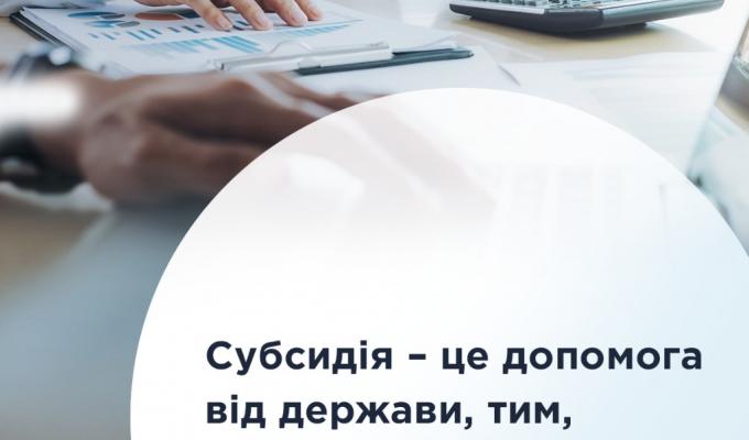 Субсидія – це допомога від держави, тим, хто цього потребує