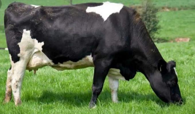 Сільгосптоваровиробники області за державними програмами вже отримали понад 30 мільйонів 