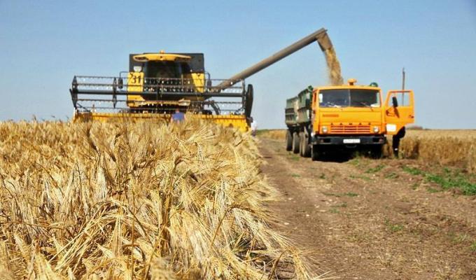 На Луганщині тривають жнива