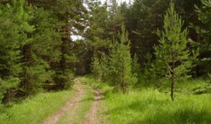 Правила поведінки у пожежонебезпечний період