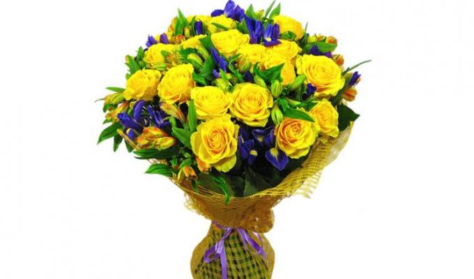 Пишаємось: легкоатлети з інвалідністю завоювали 26 медалей на Всеукраїнських змаганнях