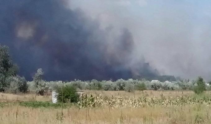 Будьте відповідальні! Не підпалюйте суху рослинність!