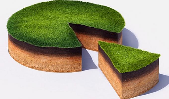 Встановлено граничний термін оформлення земельних ділянок власникам земельних часток (паїв)