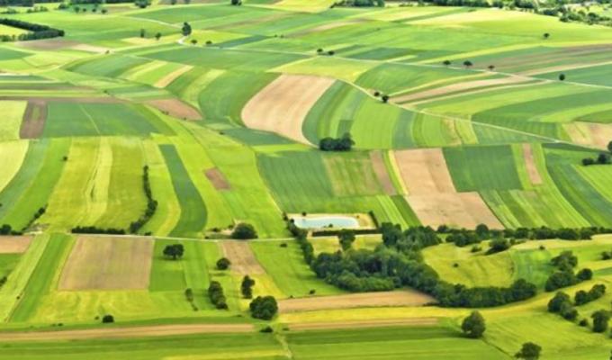 Землекористувачі та власники землі Луганщини сплатили майже 317 млн гривень