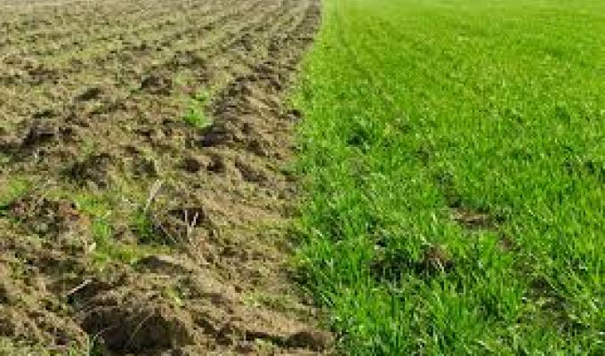 Реалізація прав спільної власності територіальних громад сіл, селищ міст Луганської області на землю