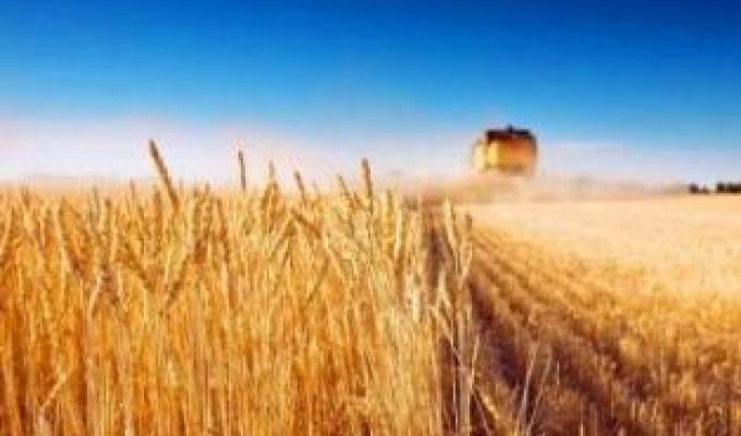 У Новоайдарі відбудеться День поля