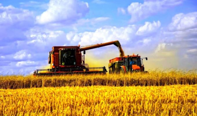 На Луганщині розпочалися жнива