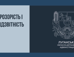 Прозорість і підзвітність