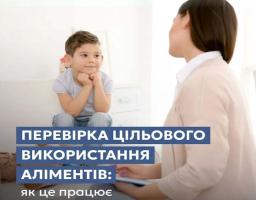 Як перевірити, чи аліменти витрачаються на дитину: роз’яснення Мін’юсту