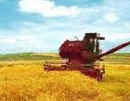 На Луганщині тривають жнива