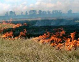 План протидії пожежам затвердили на штабі ДСНС