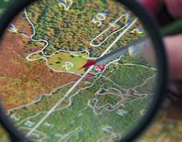 На Луганщині протягом року надано понад 16 тисяч витягів з Державного земельного кадастру