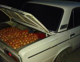 На Луганщині правоохоронці завадили незаконному  переміщенню товарів