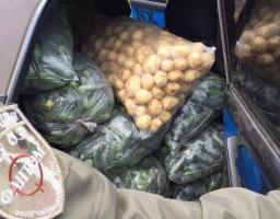 «Фантом» затримав майже три тонни ягід та овочів 