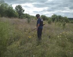 Піротехніками поблизу КПВВ «Станиця Луганська» вилучено 49 вибухонебезпечних предметів