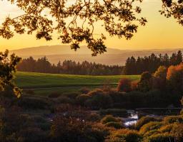 На Луганщині проведуть інвентаризацію водних об’єктів та лісових ресурсів