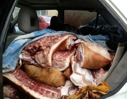 Поліцейські та фахівці Держпродспоживслужби вилучили м’ясо свинини невідомого походження