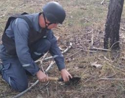 Піротехніками на Луганщині вилучено 31 одиницю вибухонебезпечних предметів