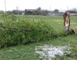 На Луганщині ліквідують наслідки негоди: найбільше постраждав Новоайдарський район